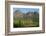 Vineyards Near Stellenbosch in the Western Cape, South Africa, Africa-Alex Treadway-Framed Photographic Print