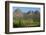 Vineyards Near Stellenbosch in the Western Cape, South Africa, Africa-Alex Treadway-Framed Photographic Print