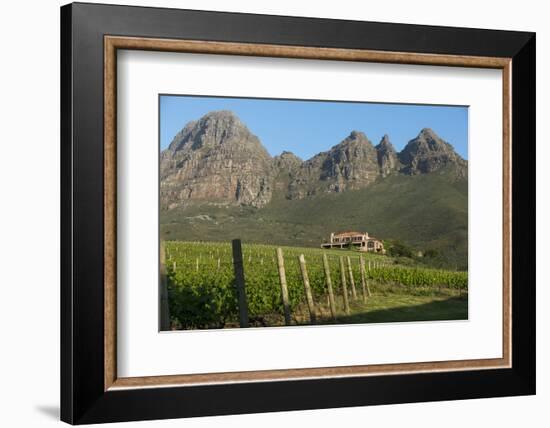 Vineyards Near Stellenbosch in the Western Cape, South Africa, Africa-Alex Treadway-Framed Photographic Print