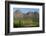 Vineyards Near Stellenbosch in the Western Cape, South Africa, Africa-Alex Treadway-Framed Photographic Print