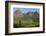 Vineyards Near Stellenbosch in the Western Cape, South Africa, Africa-Alex Treadway-Framed Photographic Print