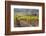 Vineyards Near to Montalcino, Val D'Orcia, UNESCO World Heritage Site, Tuscany, Italy, Europe-Julian Elliott-Framed Photographic Print