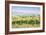 Vineyards near to Montefalco, known for its red wine of Sagrantino, Val di Spoleto, Umbria, Italy-Julian Elliott-Framed Photographic Print