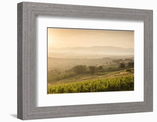Vineyards Near to Montefalco, Umbria, Ittaly, Europe-Julian Elliott-Framed Photographic Print