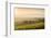 Vineyards Near to Montefalco, Umbria, Ittaly, Europe-Julian Elliott-Framed Photographic Print