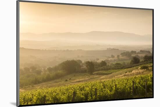 Vineyards Near to Montefalco, Umbria, Ittaly, Europe-Julian Elliott-Mounted Photographic Print