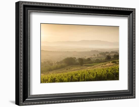 Vineyards Near to Montefalco, Umbria, Ittaly, Europe-Julian Elliott-Framed Photographic Print