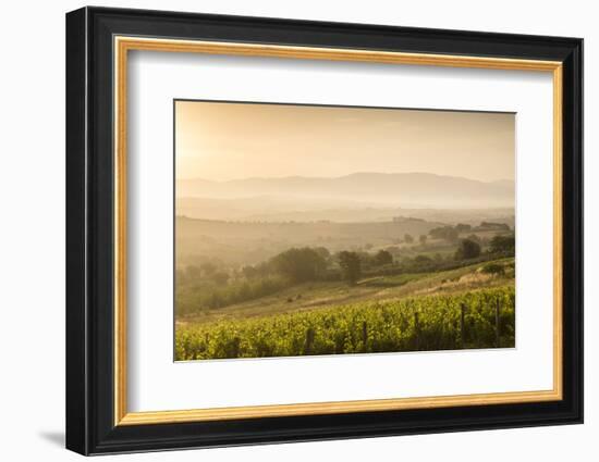 Vineyards Near to Montefalco, Umbria, Ittaly, Europe-Julian Elliott-Framed Photographic Print