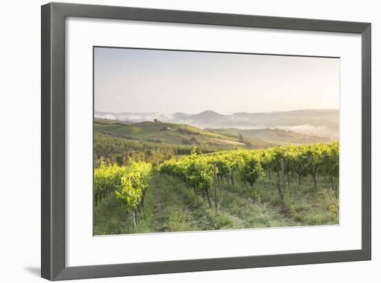 Vineyards near to Orveito, Umbria, Italy, Europe-Julian Elliott-Framed Photographic Print