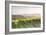 Vineyards near to Orveito, Umbria, Italy, Europe-Julian Elliott-Framed Photographic Print