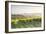 Vineyards near to Orveito, Umbria, Italy, Europe-Julian Elliott-Framed Photographic Print