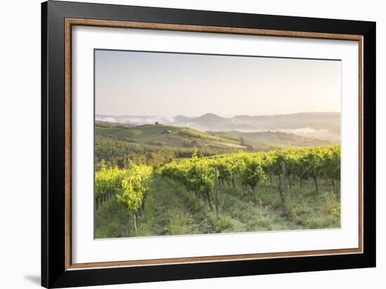 Vineyards near to Orveito, Umbria, Italy, Europe-Julian Elliott-Framed Photographic Print