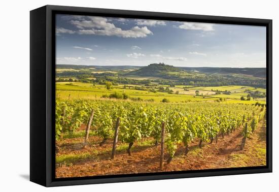 Vineyards Near to the Beaux Village De France of Vezelay in the Yonne Area-Julian Elliott-Framed Premier Image Canvas