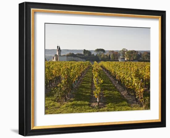 Vineyards Near to the Chateau of Chinon, Indre-Et-Loire, Loire Valley, France, Europe-Julian Elliott-Framed Photographic Print