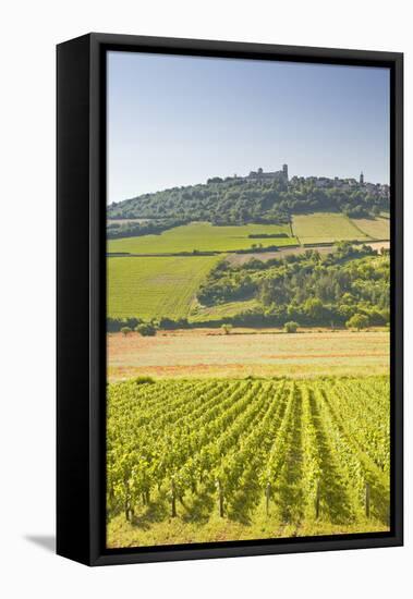 Vineyards Near to the Hilltop Village of Vezelay in the Yonne Area of Burgundy, France, Europe-Julian Elliott-Framed Premier Image Canvas