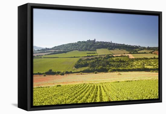 Vineyards Near to the Hilltop Village of Vezelay in the Yonne Area of Burgundy, France, Europe-Julian Elliott-Framed Premier Image Canvas