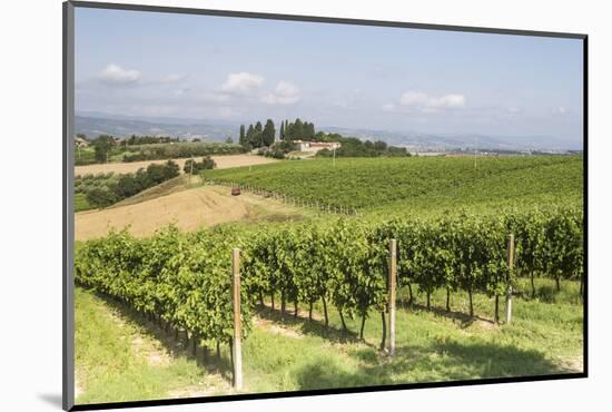 Vineyards Near to Todi, Umbria, Italy, Europe-Julian Elliott-Mounted Photographic Print