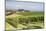 Vineyards Near to Todi, Umbria, Italy, Europe-Julian Elliott-Mounted Photographic Print