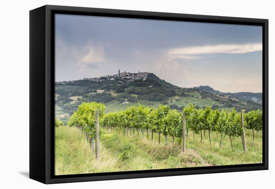 Vineyards near to Todi, Umbria, Italy, Europe-Julian Elliott-Framed Premier Image Canvas