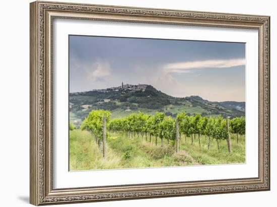 Vineyards near to Todi, Umbria, Italy, Europe-Julian Elliott-Framed Photographic Print