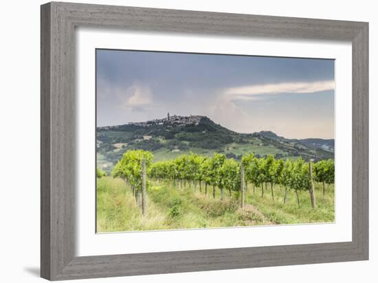 Vineyards near to Todi, Umbria, Italy, Europe-Julian Elliott-Framed Photographic Print