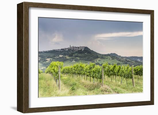 Vineyards near to Todi, Umbria, Italy, Europe-Julian Elliott-Framed Photographic Print