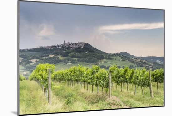 Vineyards near to Todi, Umbria, Italy, Europe-Julian Elliott-Mounted Photographic Print