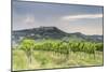 Vineyards near to Todi, Umbria, Italy, Europe-Julian Elliott-Mounted Photographic Print