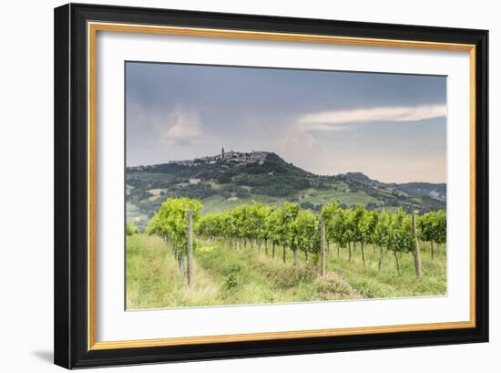 Vineyards near to Todi, Umbria, Italy, Europe-Julian Elliott-Framed Photographic Print