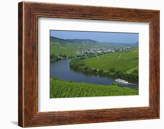 Vineyards near Trittenheim, Moselle Valley, Rhineland-Palatinate, Germany, Europe-Hans-Peter Merten-Framed Photographic Print