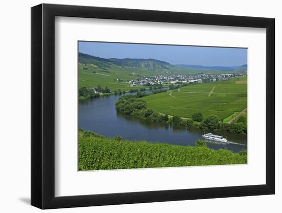 Vineyards near Trittenheim, Moselle Valley, Rhineland-Palatinate, Germany, Europe-Hans-Peter Merten-Framed Photographic Print