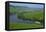 Vineyards near Trittenheim, Moselle Valley, Rhineland-Palatinate, Germany, Europe-Hans-Peter Merten-Framed Premier Image Canvas