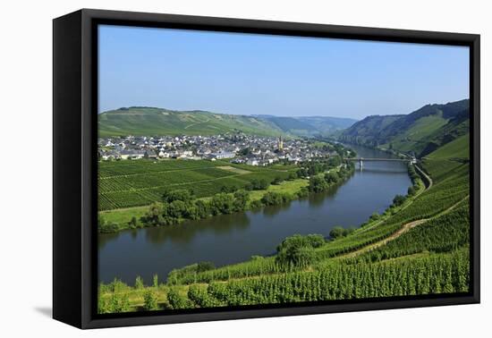 Vineyards near Trittenheim, Moselle Valley, Rhineland-Palatinate, Germany, Europe-Hans-Peter Merten-Framed Premier Image Canvas