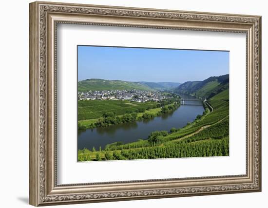 Vineyards near Trittenheim, Moselle Valley, Rhineland-Palatinate, Germany, Europe-Hans-Peter Merten-Framed Photographic Print