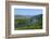 Vineyards near Trittenheim, Moselle Valley, Rhineland-Palatinate, Germany, Europe-Hans-Peter Merten-Framed Photographic Print