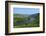 Vineyards near Trittenheim, Moselle Valley, Rhineland-Palatinate, Germany, Europe-Hans-Peter Merten-Framed Photographic Print