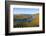 Vineyards near Trittenheim, Moselle Valley, Rhineland-Palatinate, Germany, Europe-Hans-Peter Merten-Framed Photographic Print