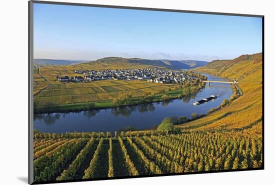 Vineyards near Trittenheim, Moselle Valley, Rhineland-Palatinate, Germany, Europe-Hans-Peter Merten-Mounted Photographic Print