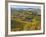 Vineyards, Nr Alba, Langhe, Piedmont (or Piemonte or Piedmonte), Italy-Peter Adams-Framed Photographic Print