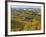 Vineyards, Nr Alba, Langhe, Piedmont (or Piemonte or Piedmonte), Italy-Peter Adams-Framed Photographic Print