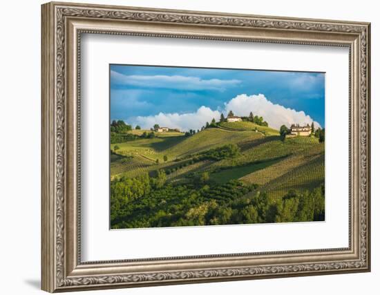 Vineyards of Langhe, Piedmont, UNESCO World Heritage-javarman-Framed Photographic Print