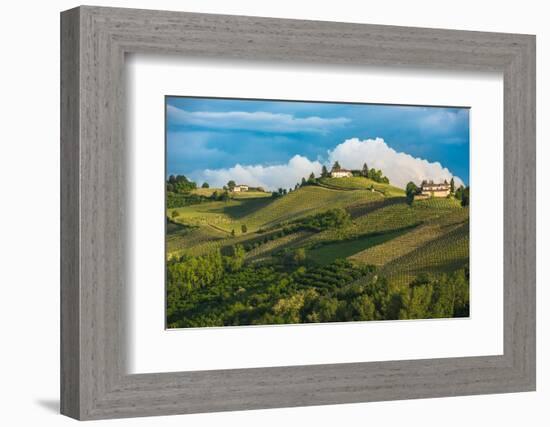 Vineyards of Langhe, Piedmont, UNESCO World Heritage-javarman-Framed Photographic Print