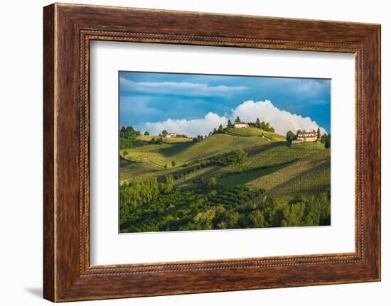 Vineyards of Langhe, Piedmont, UNESCO World Heritage-javarman-Framed Photographic Print