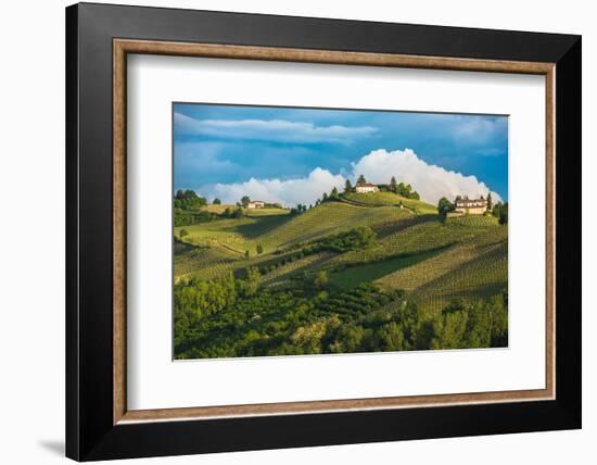 Vineyards of Langhe, Piedmont, UNESCO World Heritage-javarman-Framed Photographic Print