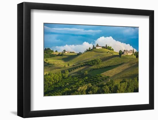 Vineyards of Langhe, Piedmont, UNESCO World Heritage-javarman-Framed Photographic Print