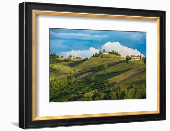 Vineyards of Langhe, Piedmont, UNESCO World Heritage-javarman-Framed Photographic Print