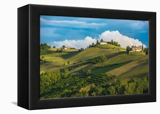 Vineyards of Langhe, Piedmont, UNESCO World Heritage-javarman-Framed Premier Image Canvas