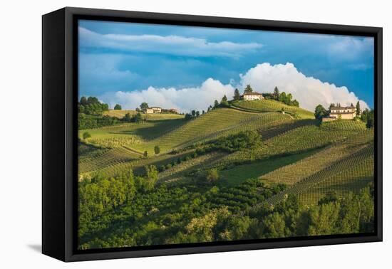 Vineyards of Langhe, Piedmont, UNESCO World Heritage-javarman-Framed Premier Image Canvas