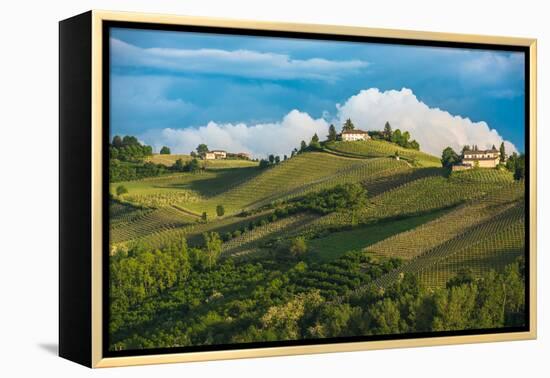 Vineyards of Langhe, Piedmont, UNESCO World Heritage-javarman-Framed Premier Image Canvas