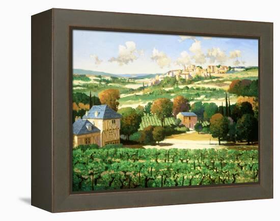 Vineyards of Provence-Max Hayslette-Framed Premier Image Canvas